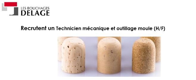 Technicien Mécanique et Outillage Moule (H/F)